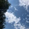 jannethd89